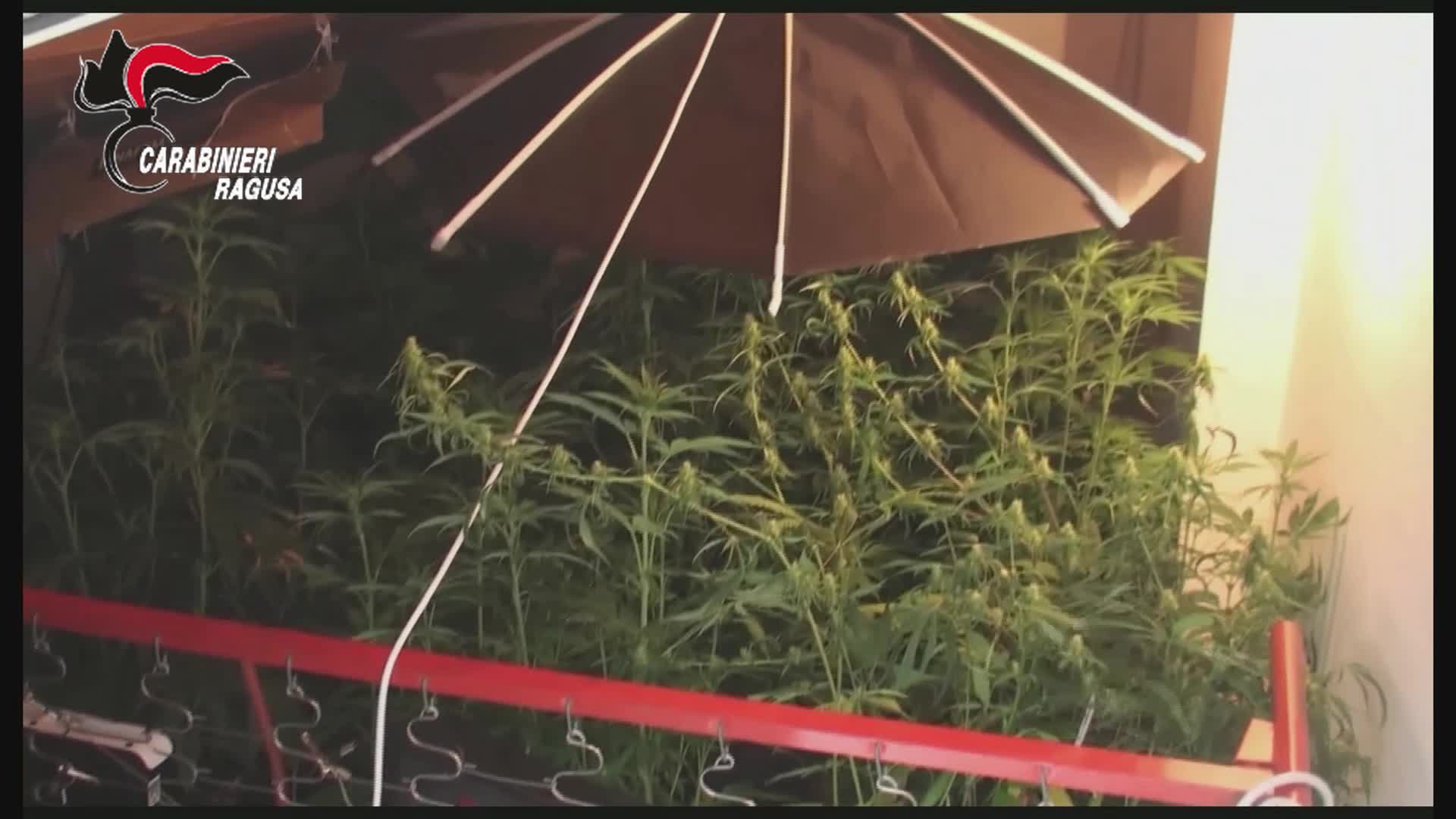 Anteprima video
