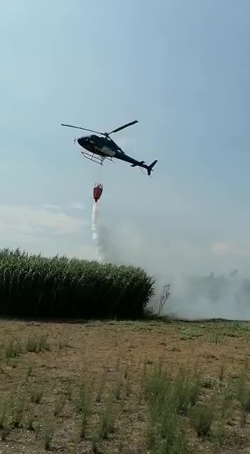 Anteprima video