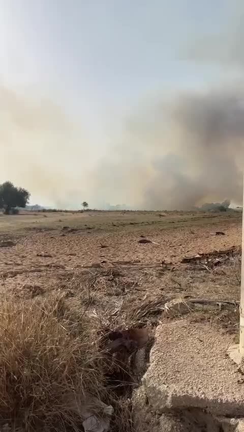 Anteprima video