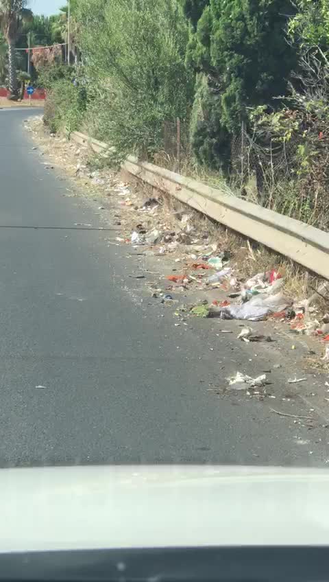 Anteprima video