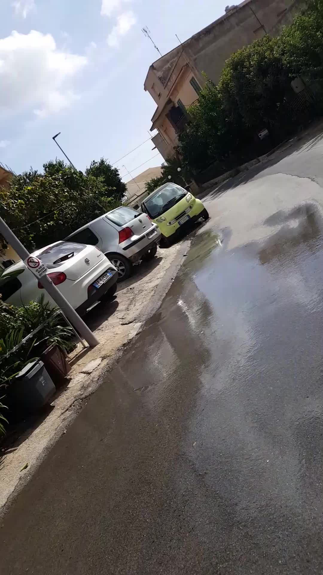 Anteprima video