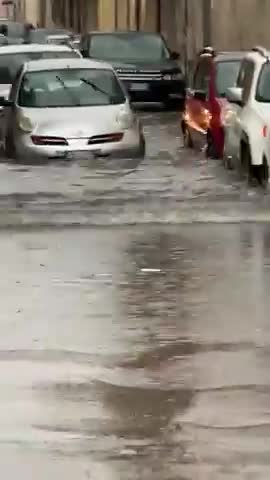 Anteprima video