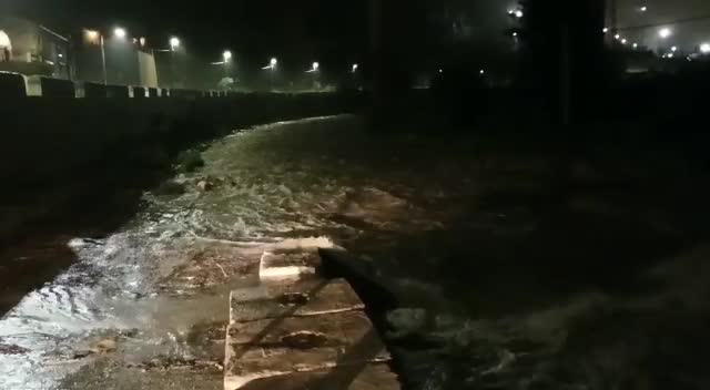 Anteprima video