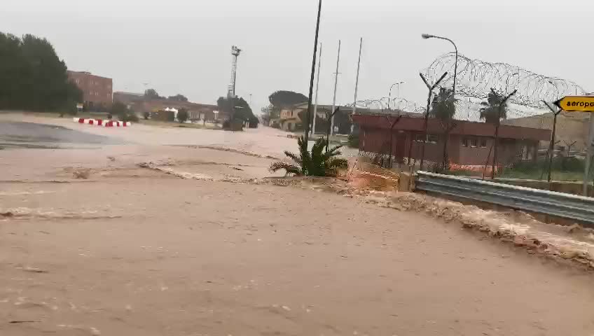 Anteprima video