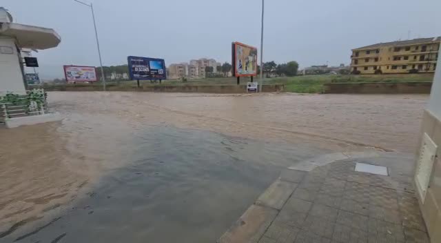 Anteprima video