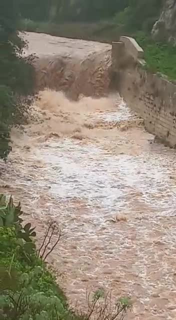 Anteprima video