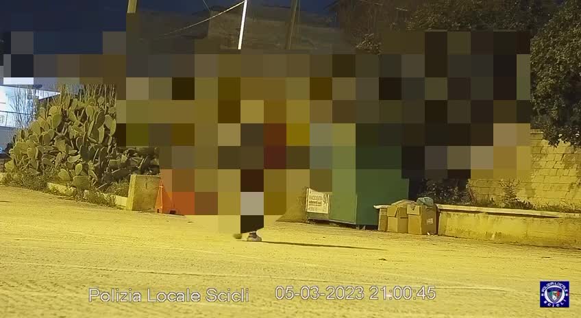 Anteprima video