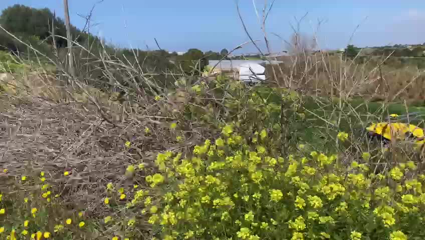 Anteprima video