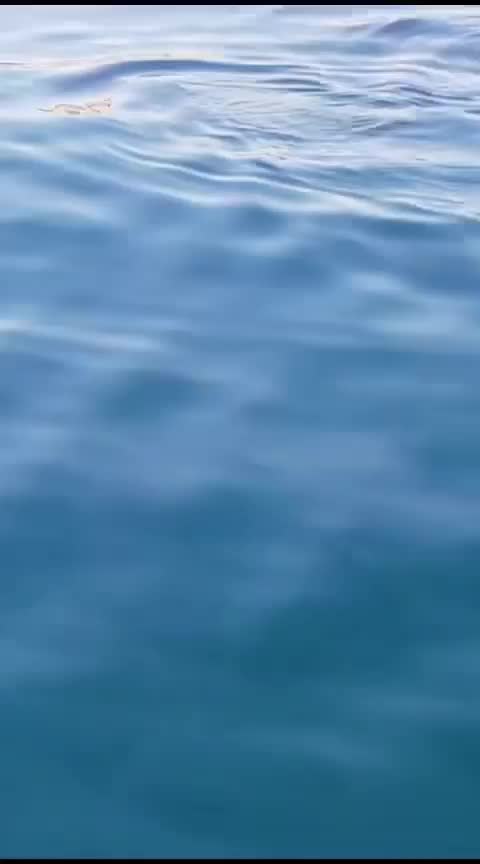 Anteprima video