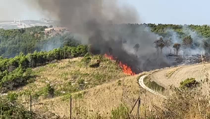 Anteprima video