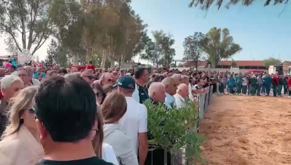 Anteprima video