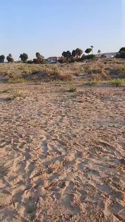 Anteprima video