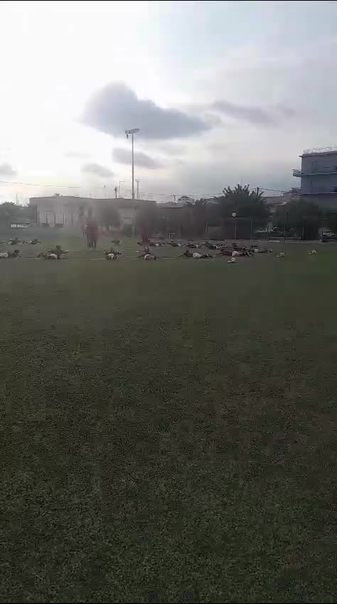Anteprima video