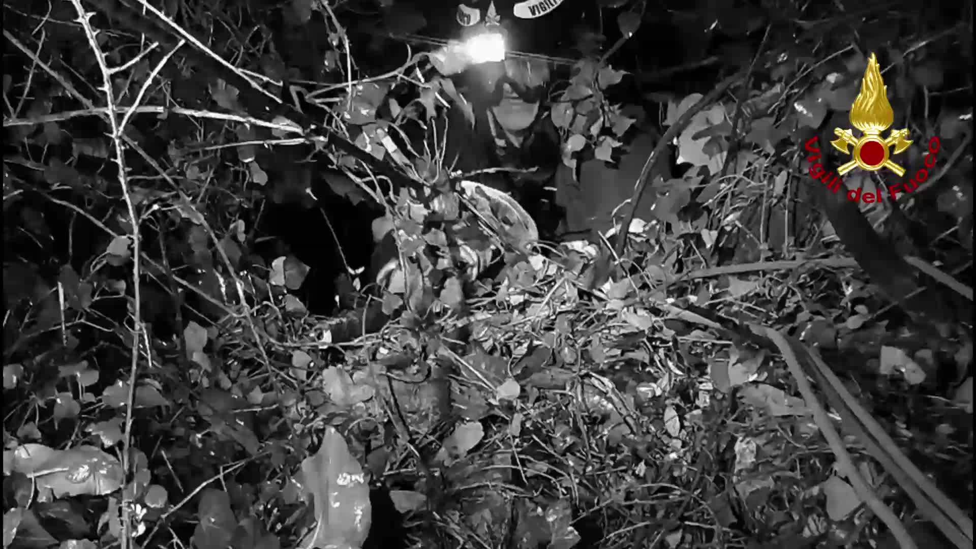 Anteprima video