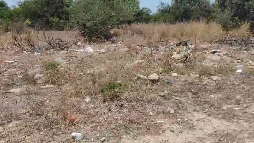 Anteprima video