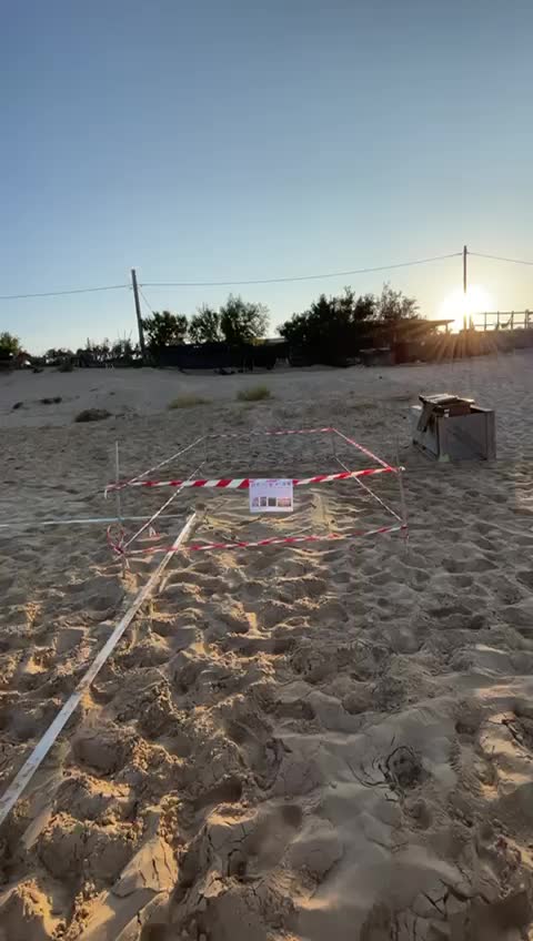 Anteprima video