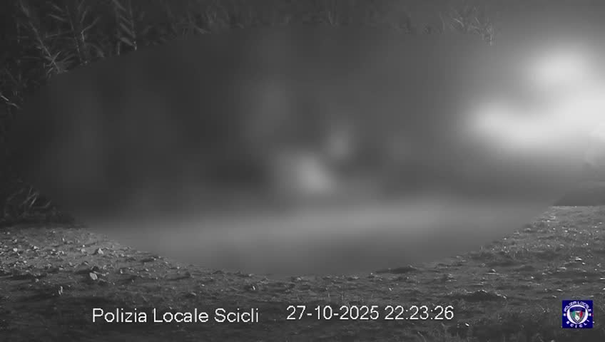 Anteprima video