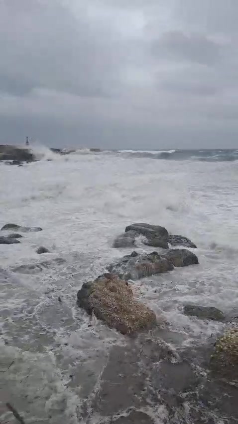 Anteprima video