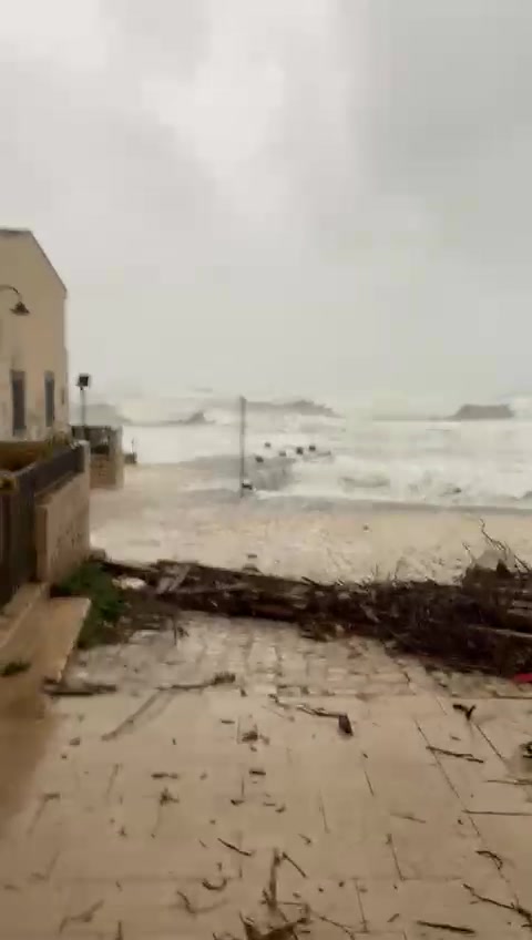 Anteprima video