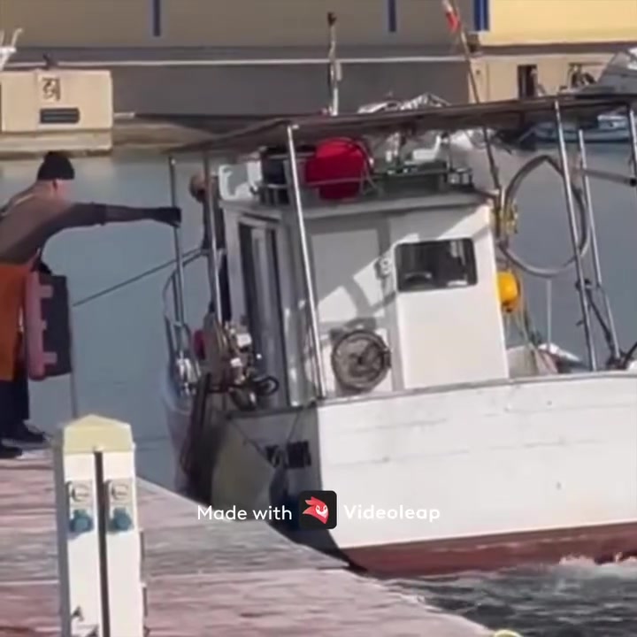 Anteprima video