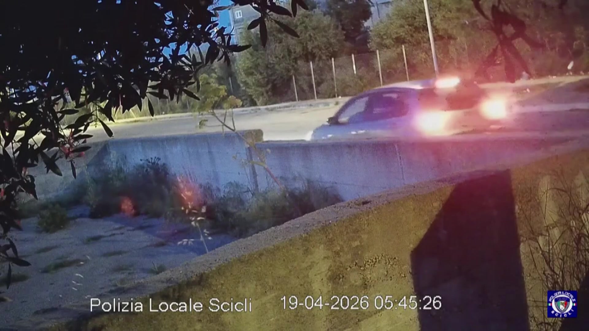 Anteprima video