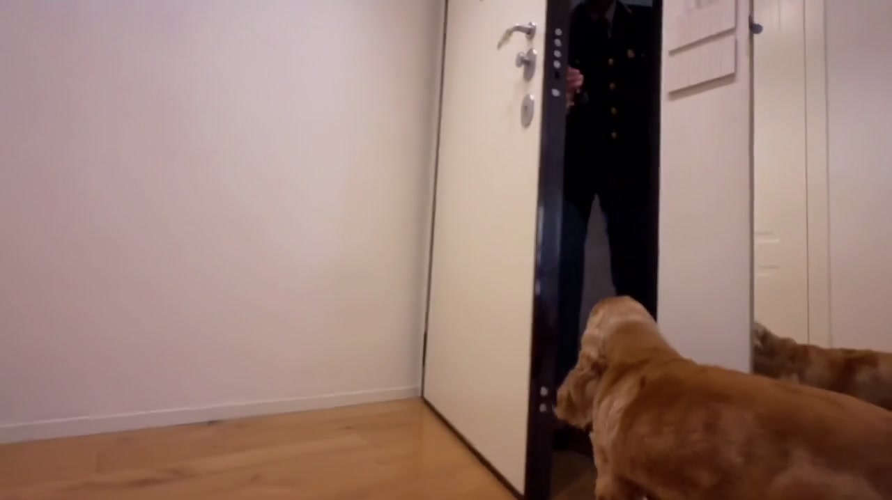 Anteprima video