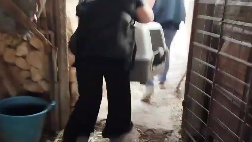 Anteprima video