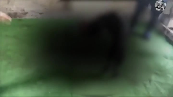 Anteprima video